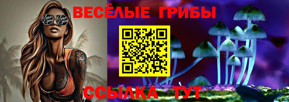 где можно купить наркотик  Вход с VPN  Острогожск  Галлюциногенные грибы Magic Shrooms  Галлюциногенные грибы Psilocybine cubensis 